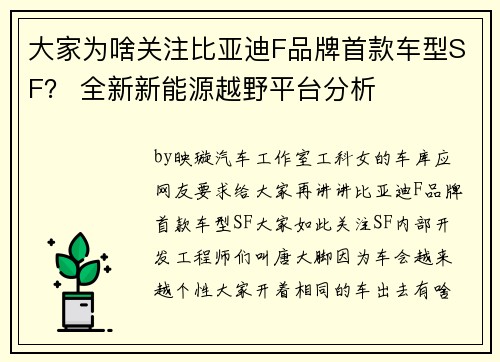 大家为啥关注比亚迪F品牌首款车型SF？ 全新新能源越野平台分析