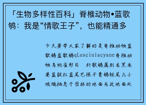 「生物多样性百科」脊椎动物•蓝歌鸲：我是“情歌王子”，也能精通多种鸟语