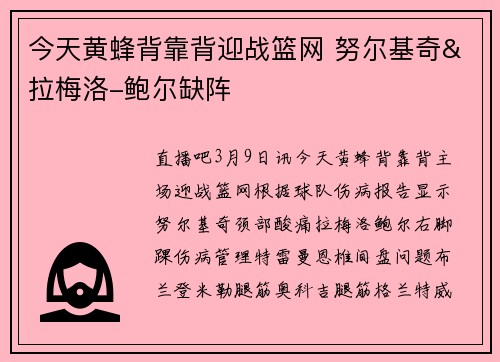 今天黄蜂背靠背迎战篮网 努尔基奇&拉梅洛-鲍尔缺阵