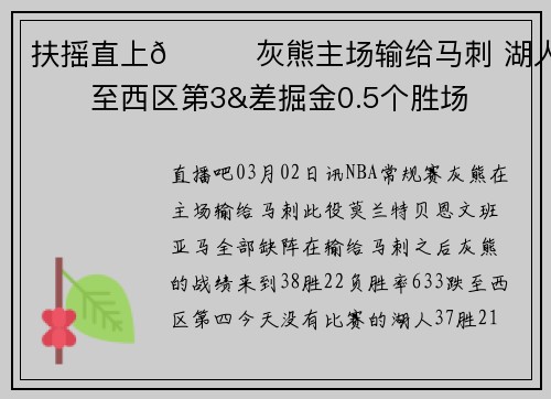 扶摇直上😉灰熊主场输给马刺 湖人升至西区第3&差掘金0.5个胜场