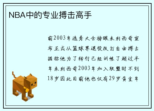 NBA中的专业搏击高手